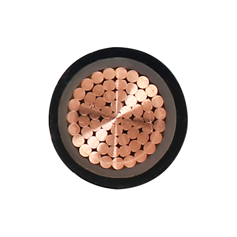 Cablu de încărcare EV pentru tensiune nominală 450/750V