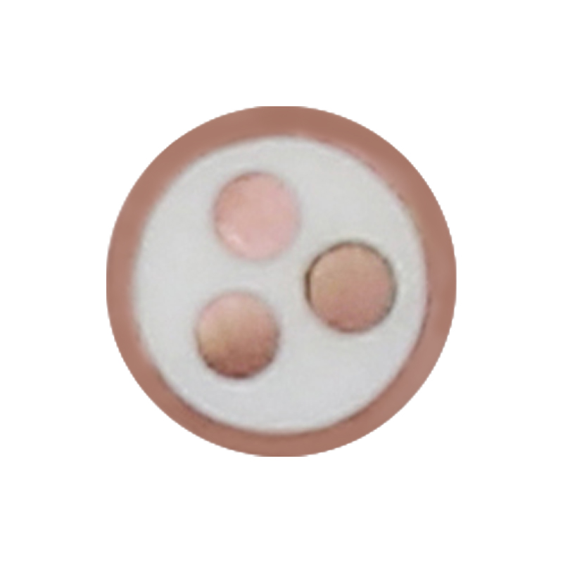 Cablu de încărcare EV pentru tensiune nominală 450/750V