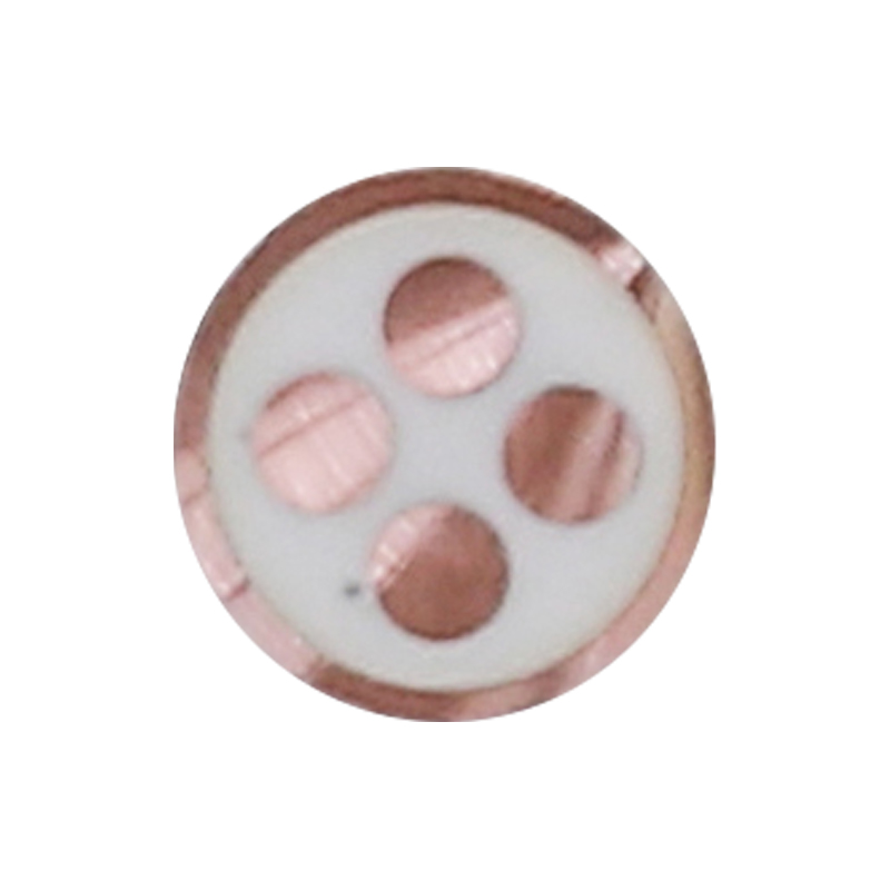 Cablu de încărcare EV pentru tensiune nominală 450/750V