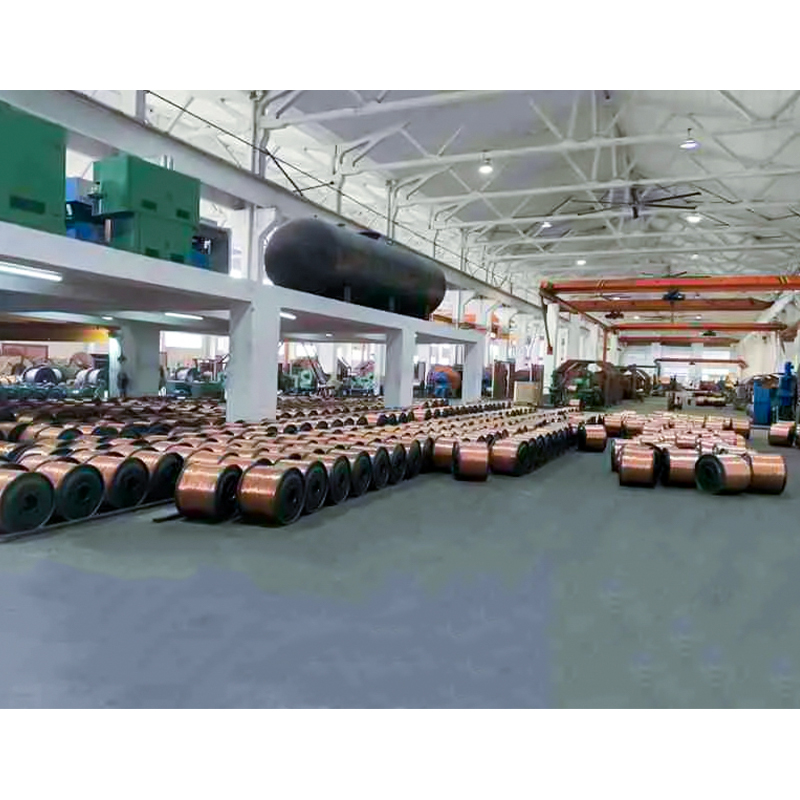 Cablu izolat XLPE/PVC (sârmă) Tensiune nominală până la și inclusiv 450/750V